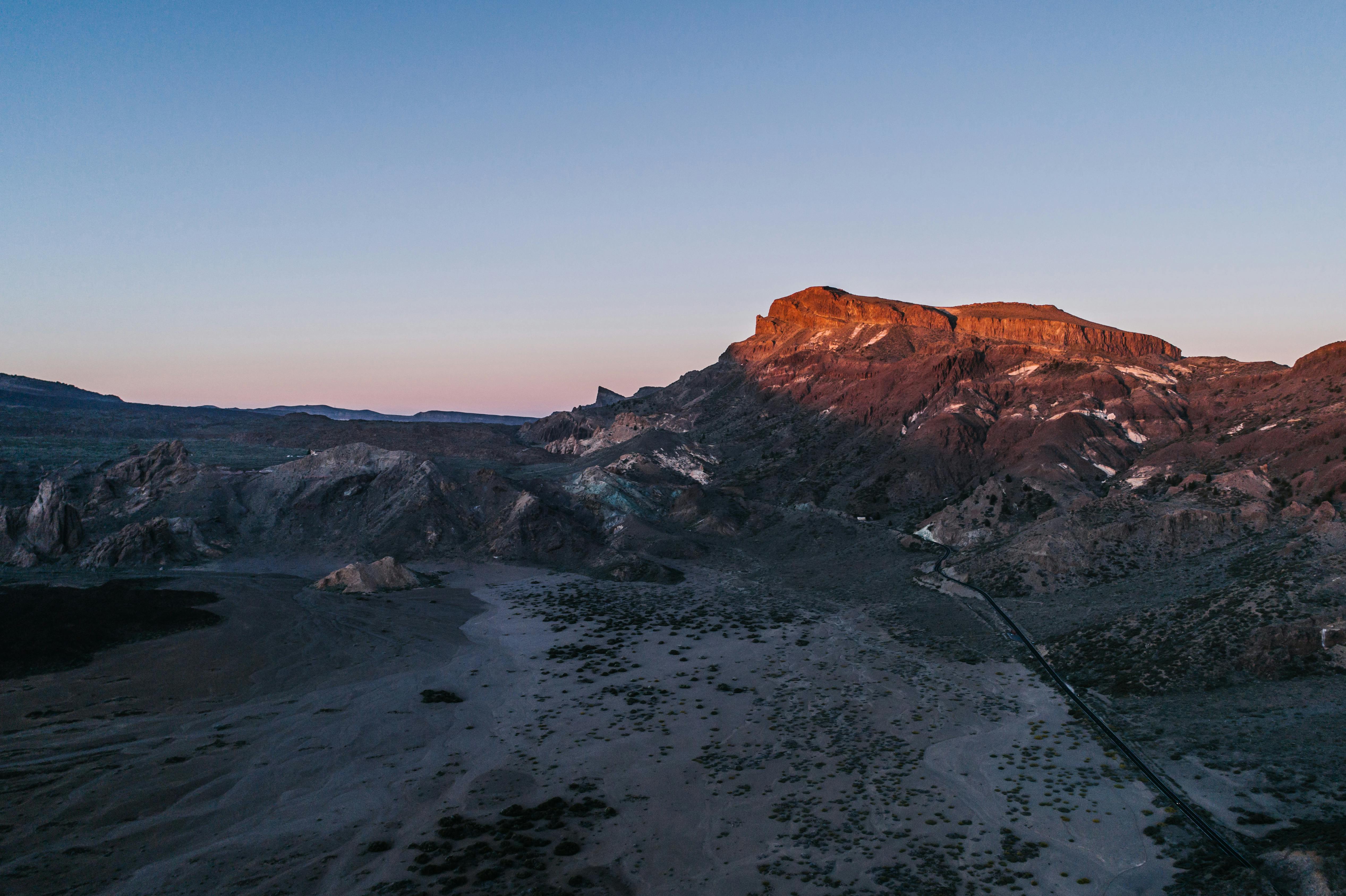 Jozani Forest & Red Colobus Monkeys - OD Adventure Safaris